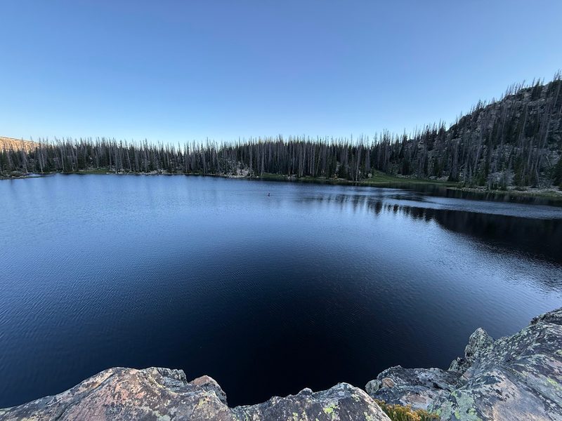 A calm, deep-blue lake ringed by tall pines under a clear sky, with lichen-covered rocks in the foreground